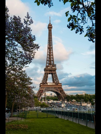 pexels-alejandro-aznar-155337093-17976859