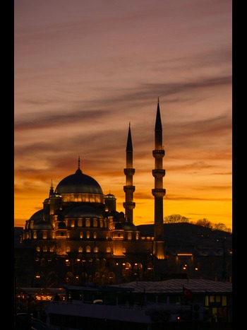 pexels-theefotografyam-593101221-22121289