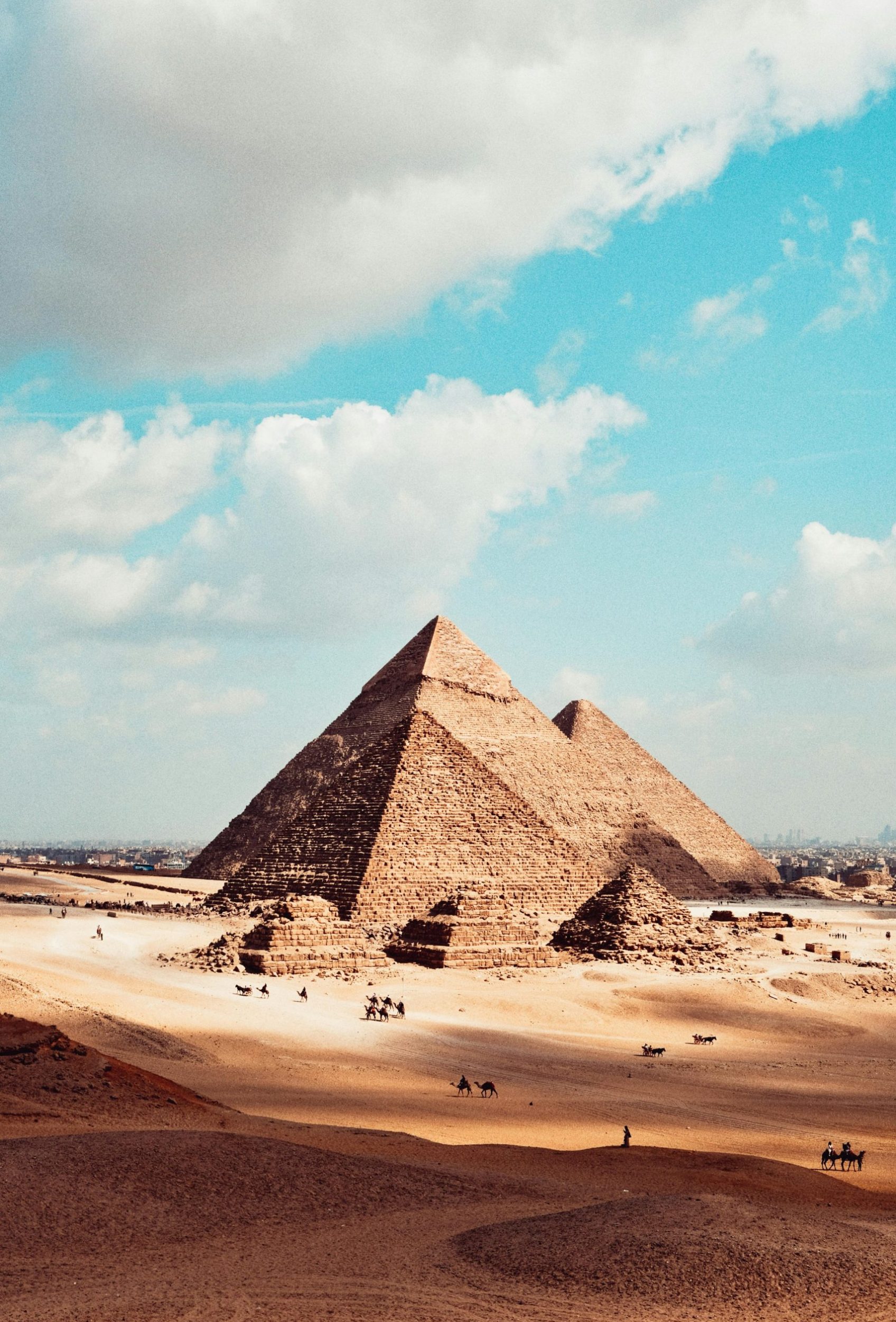 pexels-photo-21316202